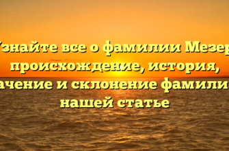 Узнайте все о фамилии Мезер: происхождение, история, значение и склонение фамилии в нашей статье