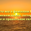 Узнайте все о фамилии Пунья: происхождение, история, значение и правильное склонение!