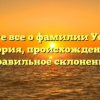 Узнайте все о фамилии Усиевич: история, происхождение и правильное склонение