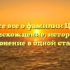 Узнайте все о фамилии Цинков: происхождение, история и склонение в одной статье!