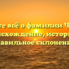 Узнайте всё о фамилии Чикота: происхождение, историю и правильное склонение!