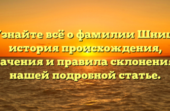 Узнайте всё о фамилии Шниц: история происхождения, значения и правила склонения в нашей подробной статье.