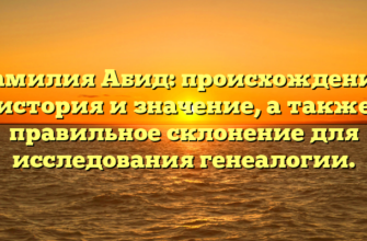 Фамилия Абид: происхождение, история и значение, а также правильное склонение для исследования генеалогии.