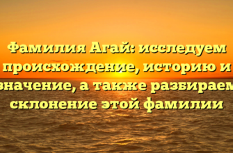 Фамилия Агай: исследуем происхождение, историю и значение, а также разбираем склонение этой фамилии