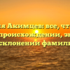 Фамилия Акимцев: все, что нужно знать о происхождении, значении и склонении фамилии