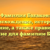 Фамилия Бабаков: происхождение, история и значение, а также правильное склонение для фамилии Бабакова