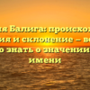 Фамилия Балига: происхождение, история и склонение — все, что нужно знать о значении этого имени