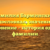 Фамилия Барминский: родословная, значение и склонение – история одной фамилии