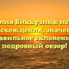 Фамилия Биккузина: история происхождения, значение и правильное склонение – подробный обзор!