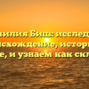 Фамилия Биш: исследуем происхождение, историю и значение, и узнаем как склоняется