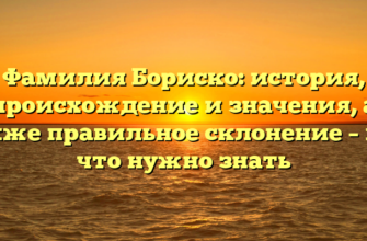 Фамилия Бориско: история, происхождение и значения, а также правильное склонение – все, что нужно знать