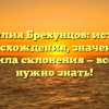 Фамилия Брехунцов: история происхождения, значения и правила склонения — все, что нужно знать!