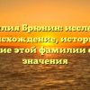 Фамилия Брюнин: исследуем происхождение, историю и склонение этой фамилии с учетом значения