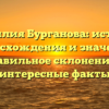 Фамилия Бурганова: история происхождения и значения, правильное склонение и интересные факты