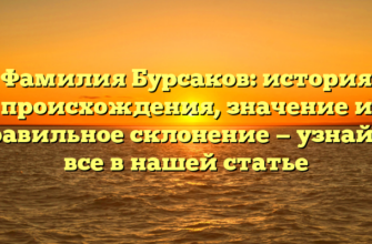 Фамилия Бурсаков: история происхождения, значение и правильное склонение — узнайте все в нашей статье