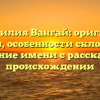 Фамилия Вангай: оригин и история, особенности склонения и значение имени с рассказом о происхождении