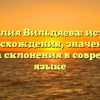 Фамилия Вильдяева: история происхождения, значения и правила склонения в современном языке