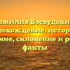 Фамилия Воевудский: происхождение, история и значение, склонение и редкие факты