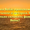 Фамилия Войк: происхождение, значение и история. Как правильно склонять фамилию Войк?