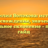 Фамилия Волохова: история происхождения, значения и правильное склонение – полный гайд