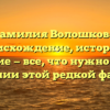 Фамилия Волошкова: происхождение, история и значение — все, что нужно знать о склонении этой редкой фамилии