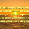 Фамилия Гелетей: происхождение, история и значение, а также правильное склонение для украшения вашего родословного дерева