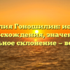 Фамилия Гоношилин: история происхождения, значение и правильное склонение — всё о ней!