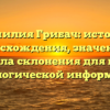 Фамилия Грибач: история происхождения, значения и правила склонения для вашей генеалогической информации.