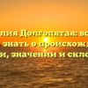 Фамилия Долгопятая: всё, что нужно знать о происхождении, истории, значении и склонении!