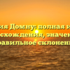 Фамилия Домну: полная история происхождения, значения и правильное склонение