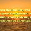 Фамилия Досик: все, что нужно знать о происхождении, истории и значении этого имени, а также правильное склонение