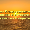 Фамилия Илье: происхождение, склонение и историческое значение под микроскопом