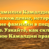 Фамилия Камалдин: происхождение, история и значение фамилии в подробном обзоре. Узнайте, как склонять фамилию Камалдин правильно!