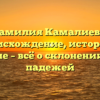 Фамилия Камалиева: происхождение, история и значение – всё о склонении рода и падежей