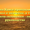 Фамилия Камо: происхождение, история и значение, а также правила склонения – полное руководство