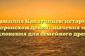 Фамилия Канатчиков: история происхождения, значения и склонения для семейного древа