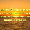 Фамилия Кандат: история происхождения, значение и правильное склонение – все о ней в нашей статье