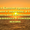 Фамилия Капнов: происхождение, история и значение, а также правильное склонение для использования в повседневной жизни