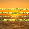 Фамилия Карнаев: происхождение, история и значение фамилии. Как правильно склонять Карнаев?