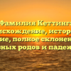 Фамилия Кеттинг: происхождение, история и значение, полное склонение для разных родов и падежей