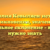 Фамилия Ковыляев: история возникновения, значение и правильное склонение – все, что нужно знать