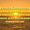 Фамилия Колбасов: все о происхождении, описании значения и правильном склонении для исследователей генеалогии