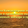 Фамилия Командирова: история, значение и правильное склонение – интересный экскурс в прошлое