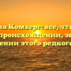 Фамилия Комберг: все, что нужно знать о происхождении, значении и склонении этого редкого имени