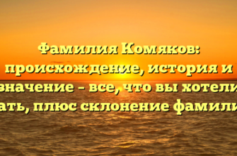 Фамилия Комяков: происхождение, история и значение – все, что вы хотели знать, плюс склонение фамилии!