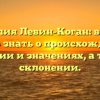 Фамилия Левин-Коган: всё, что нужно знать о происхождении, истории и значениях, а также склонении.