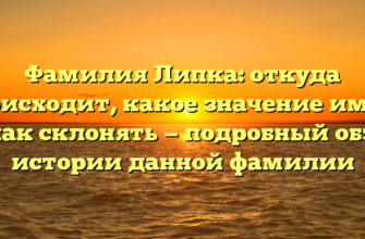 Фамилия Липка: откуда происходит, какое значение имеет и как склонять — подробный обзор истории данной фамилии