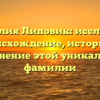 Фамилия Липовик: исследуем происхождение, историю и склонение этой уникальной фамилии