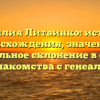 Фамилия Литвинко: история происхождения, значение и правильное склонение в статье для знакомства с генеалогией