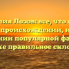 Фамилия Лозов: все, что нужно знать о происхождении, истории и значении популярной фамилии, а также правильное склонение